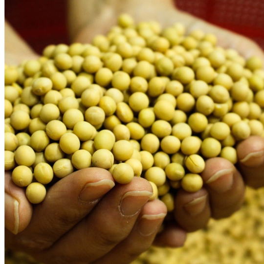 Untitled (Instagram Post)